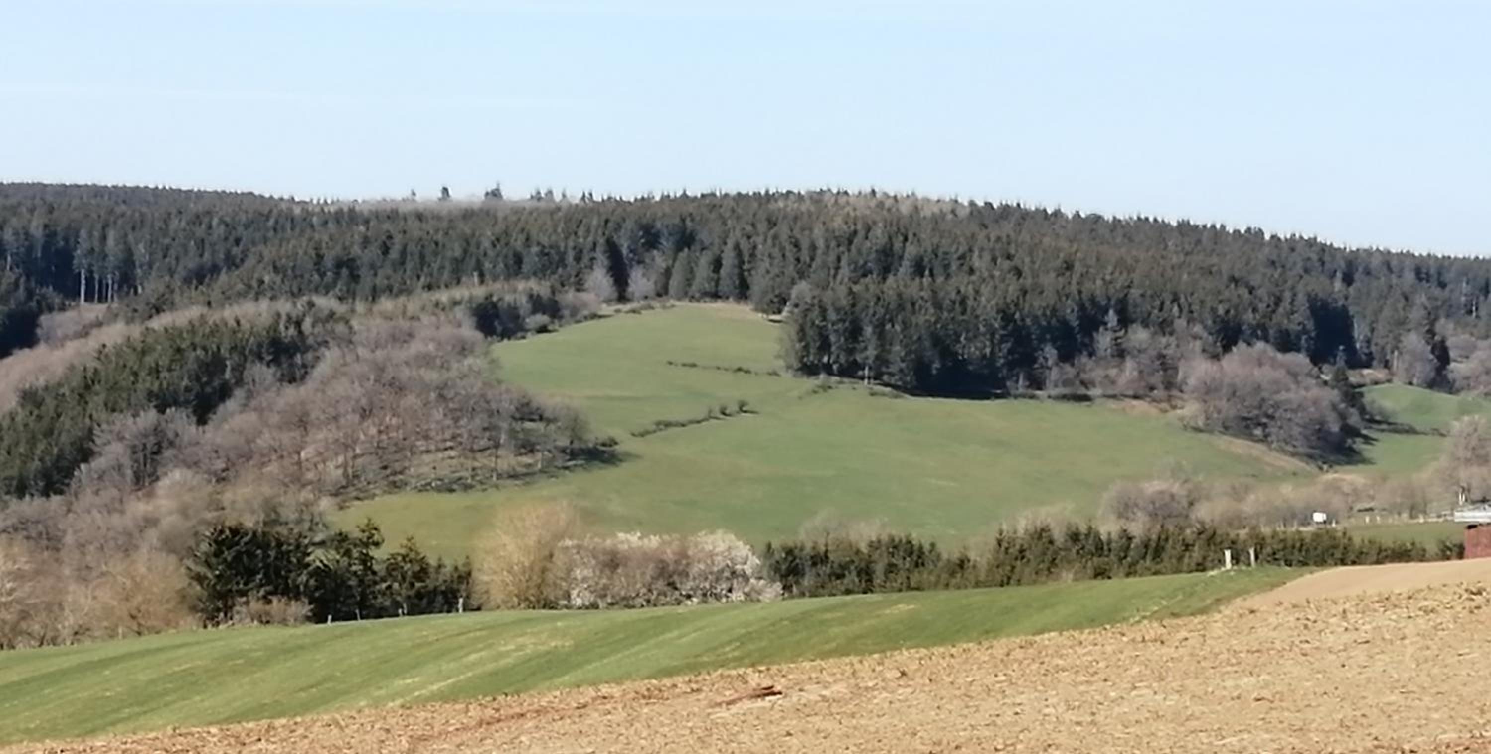 Ferienhaus ROSENHOF Vulkaneifel