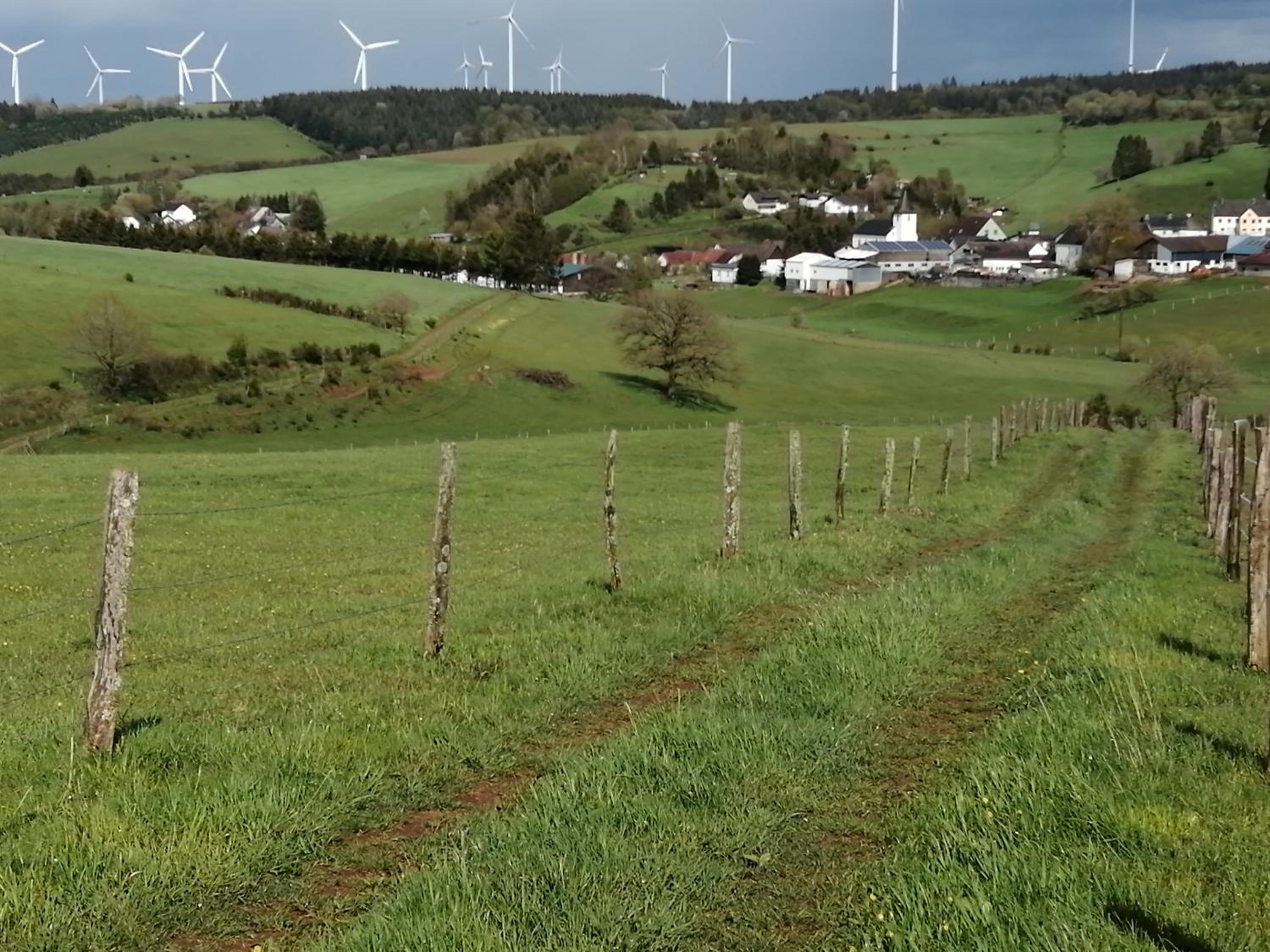Ferienhaus ROSENHOF Vulkaneifel