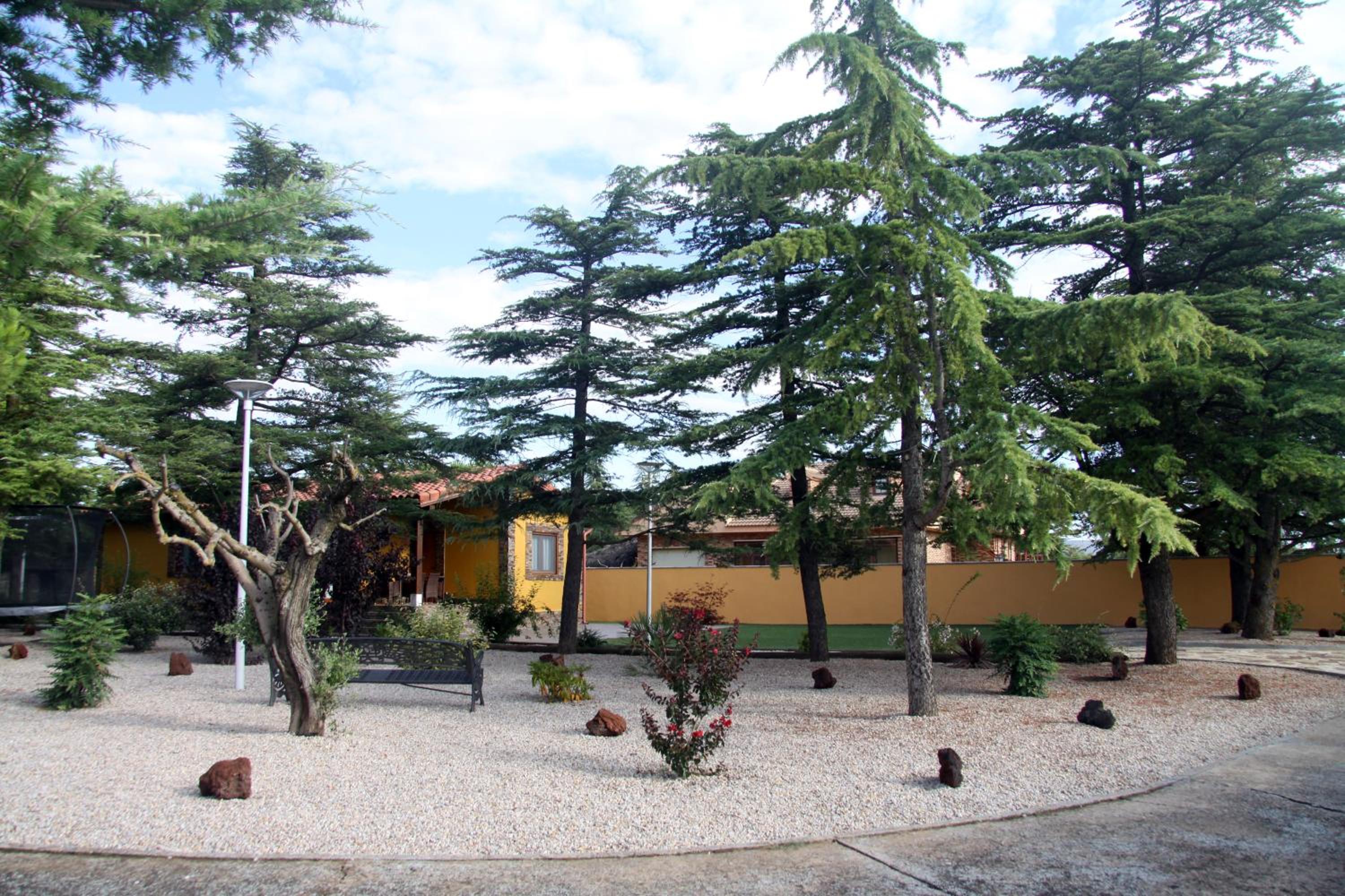 Photo 14