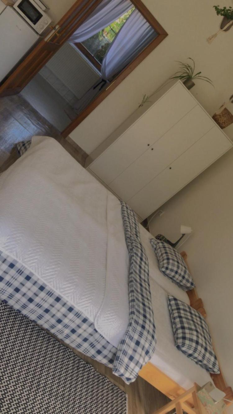 Apartmán v koňském areálu Židovice