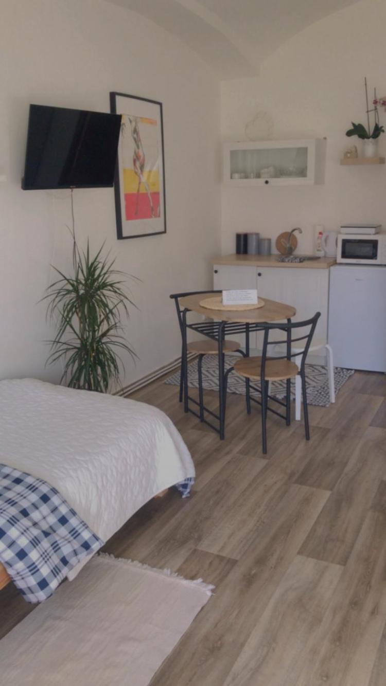 Apartmán v koňském areálu Židovice