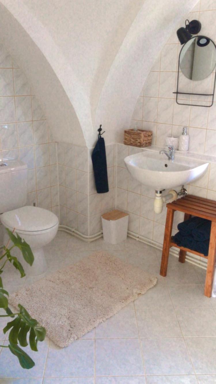 Apartmán v koňském areálu Židovice