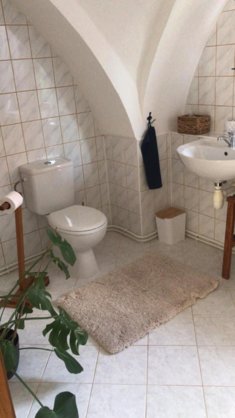 Apartmán v koňském areálu Židovice