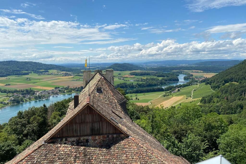 Familien-Haus, Garten, Feuerstelle mit Grill, 50m zum Rhein
