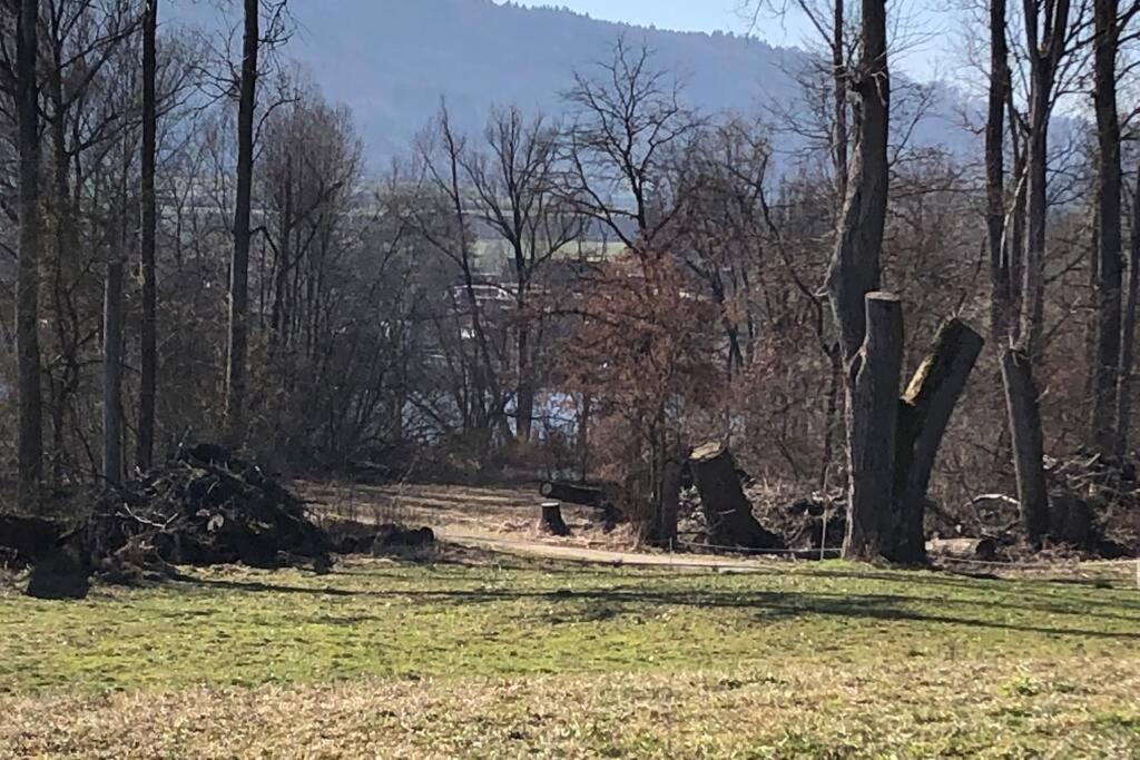 Familien-Haus, Garten, Feuerstelle mit Grill, 50m zum Rhein