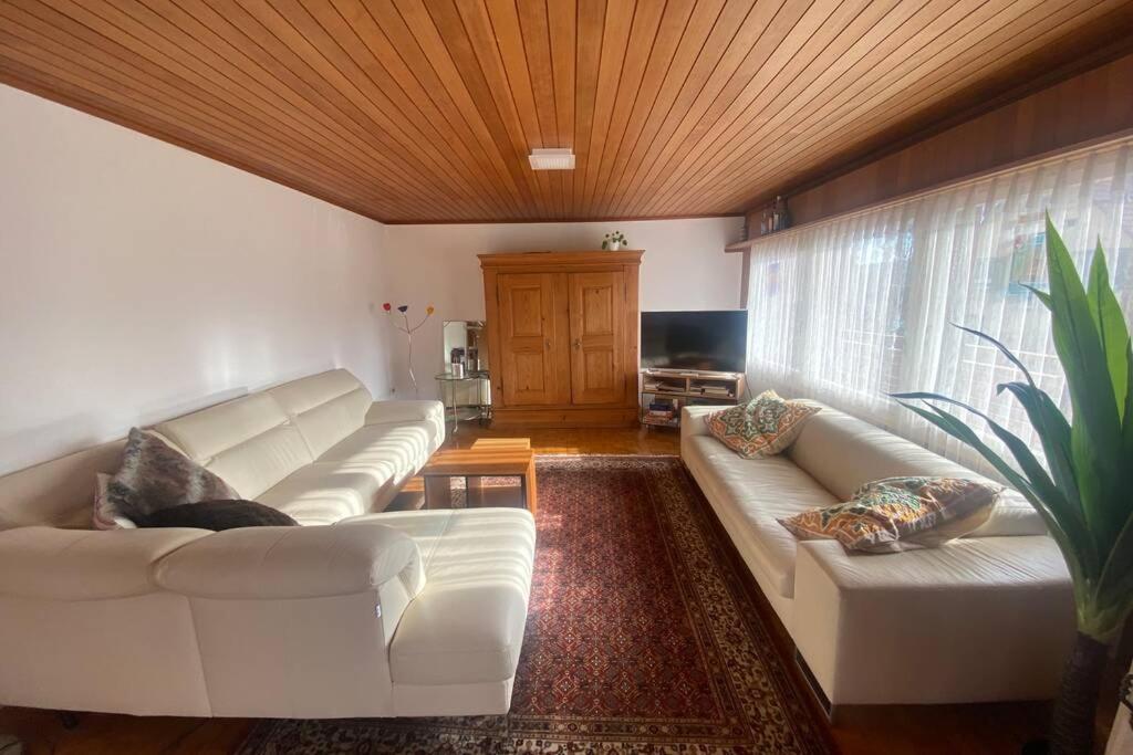 Familien-Haus, Garten, Feuerstelle mit Grill, 50m zum Rhein