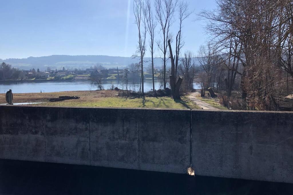 Familien-Haus, Garten, Feuerstelle mit Grill, 50m zum Rhein