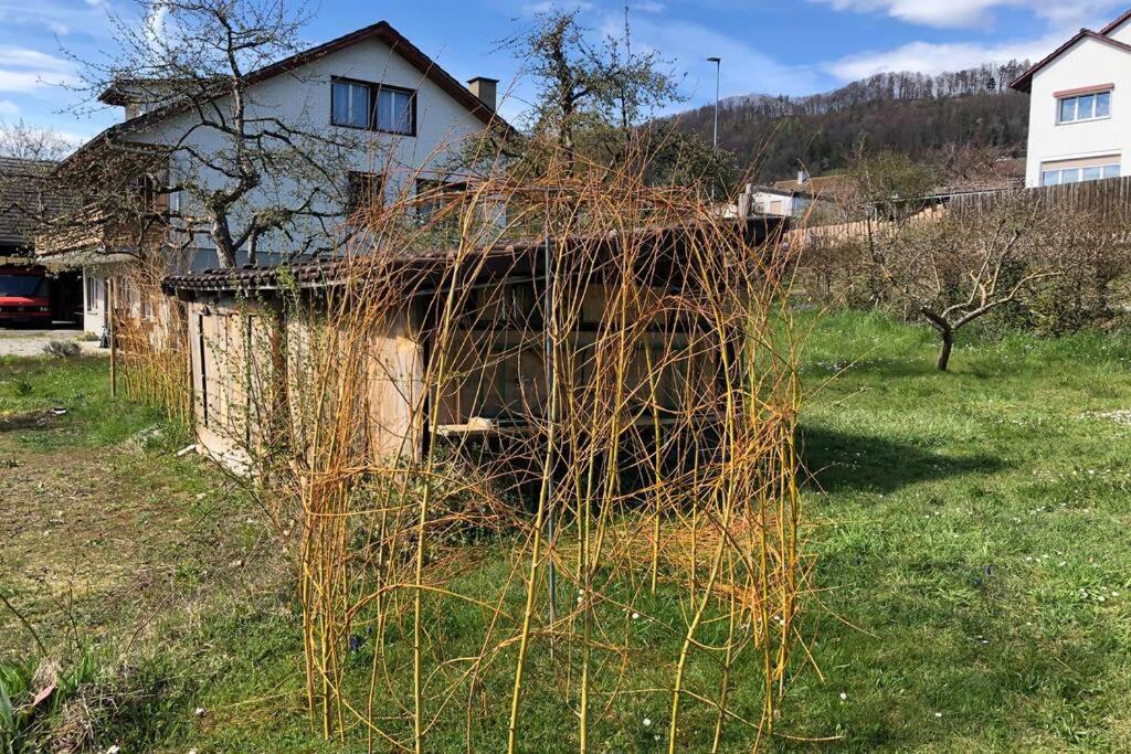 Familien-Haus, Garten, Feuerstelle mit Grill, 50m zum Rhein