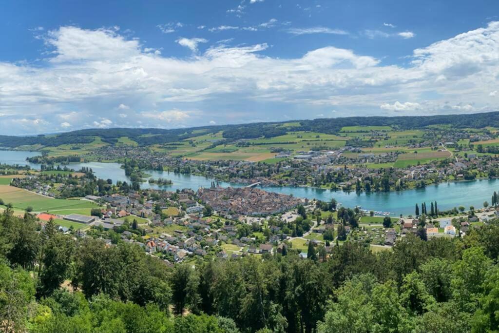 Familien-Haus, Garten, Feuerstelle mit Grill, 50m zum Rhein