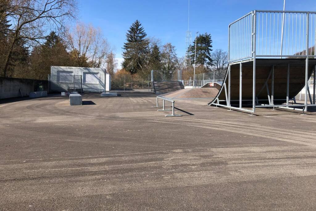 Familien-Haus, Garten, Feuerstelle mit Grill, 50m zum Rhein