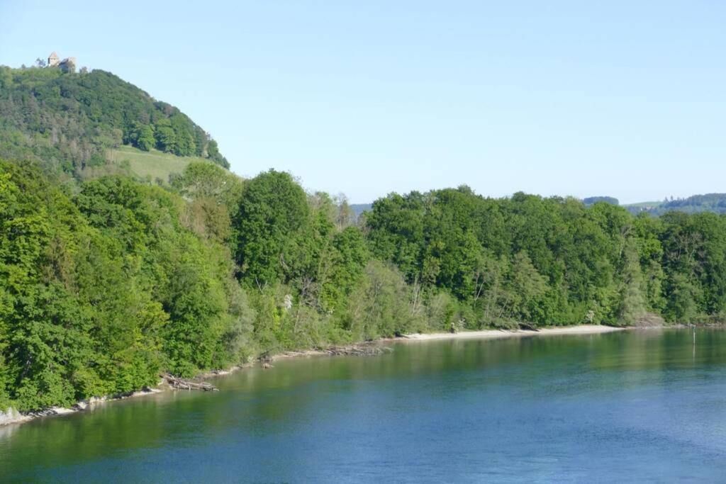 Familien-Haus, Garten, Feuerstelle mit Grill, 50m zum Rhein