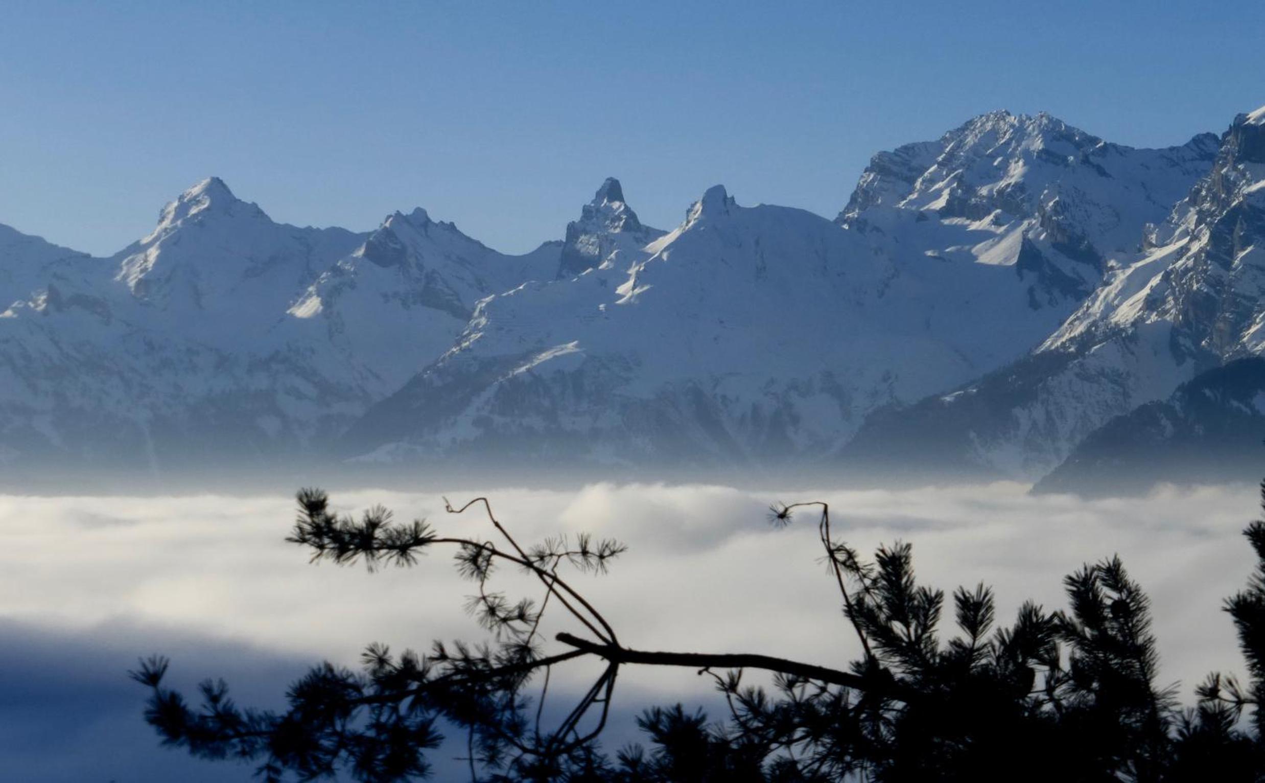 Chalet Faigaux