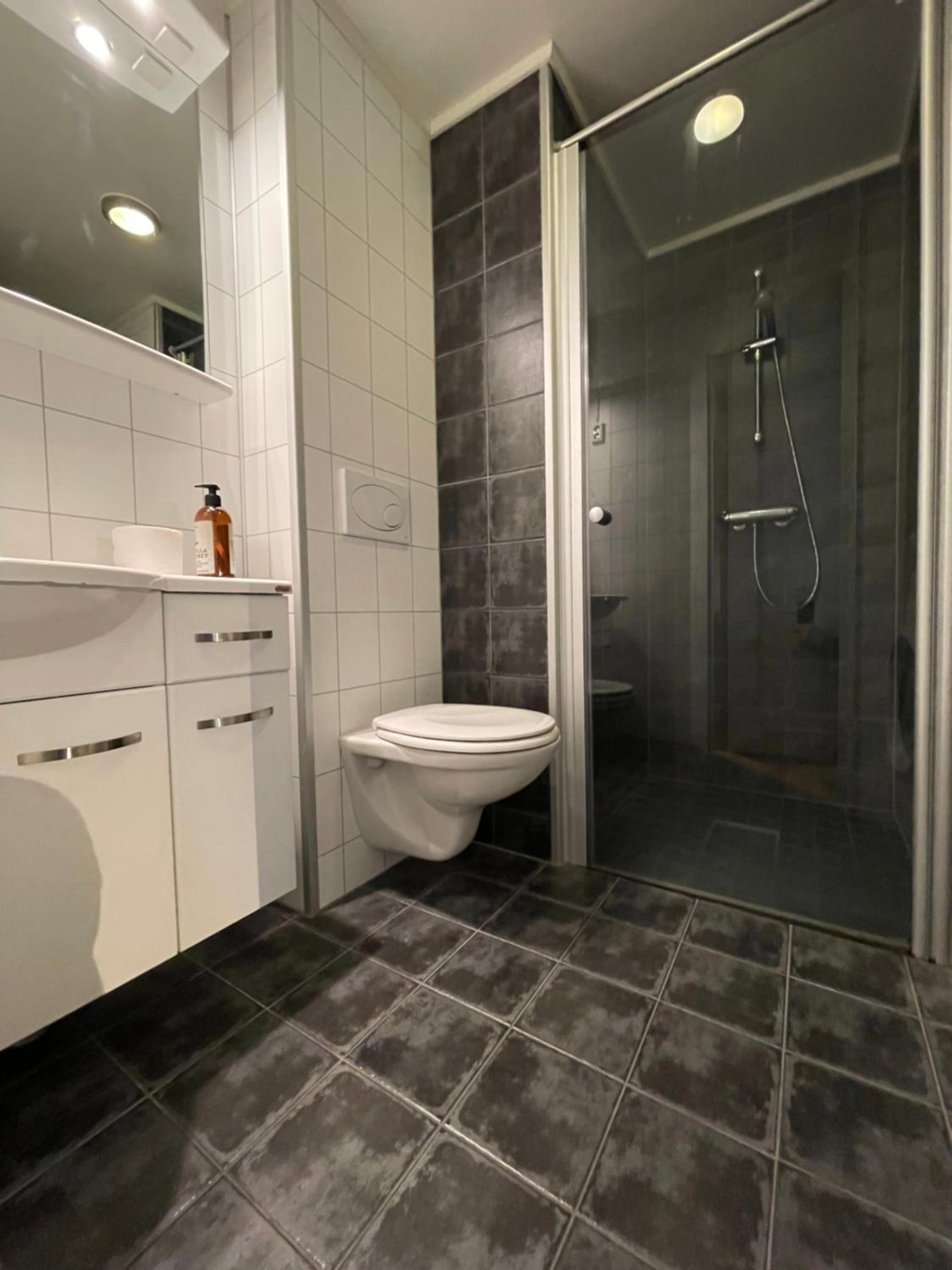 Novatind - Studio apartment with free parking view 5