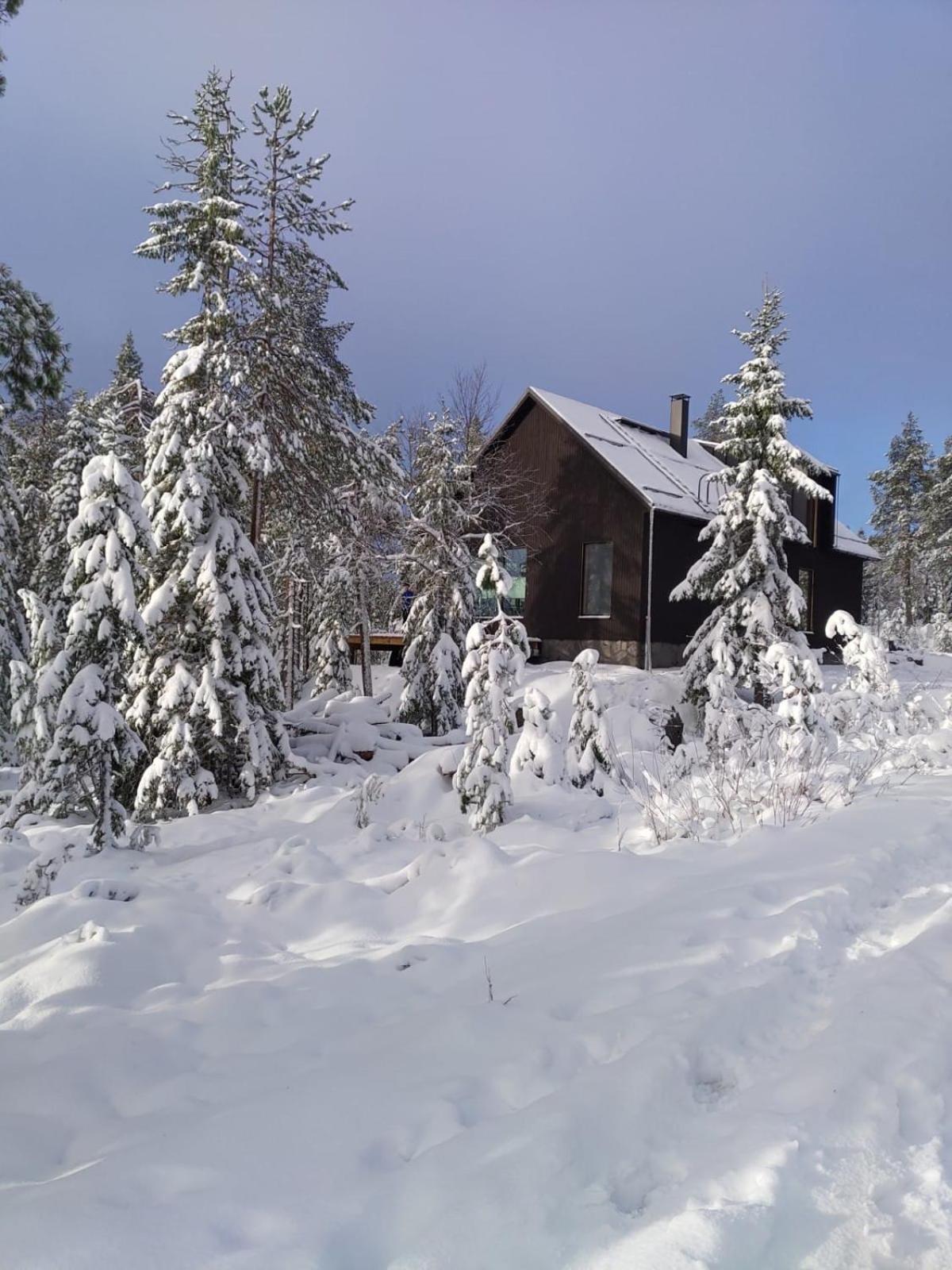 Syötteen Kajo