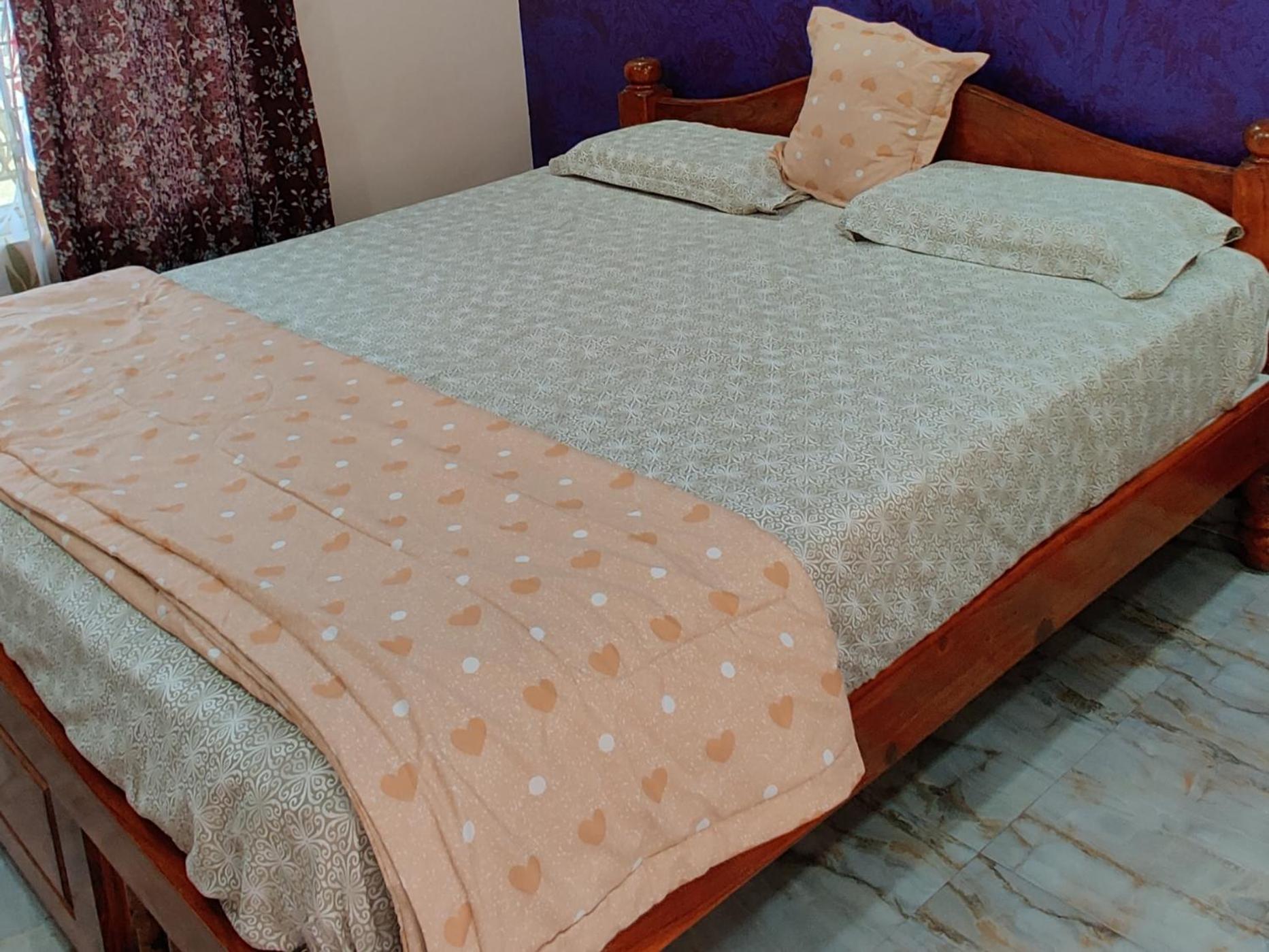 Akash homestay view 2