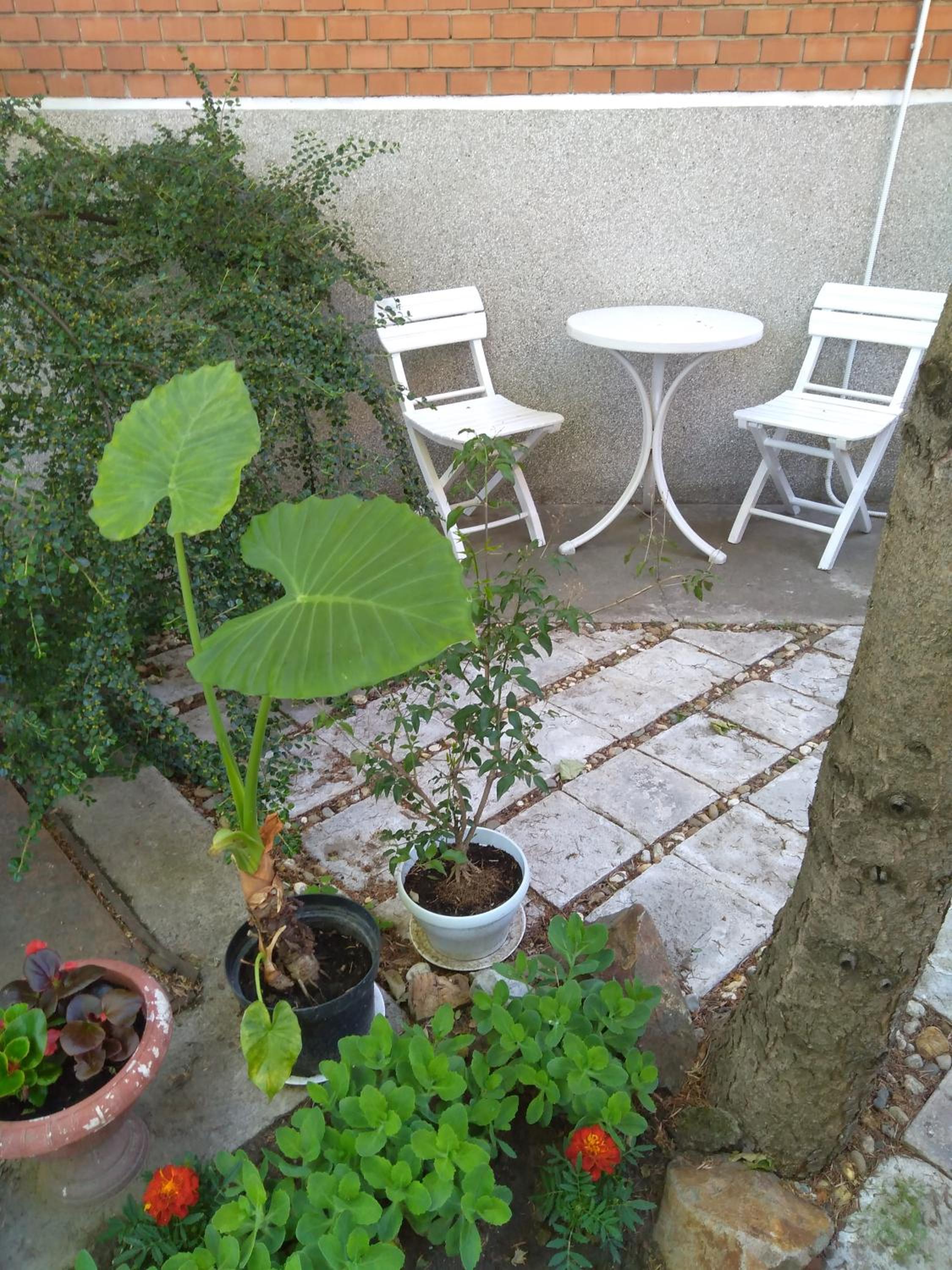 Photo 26