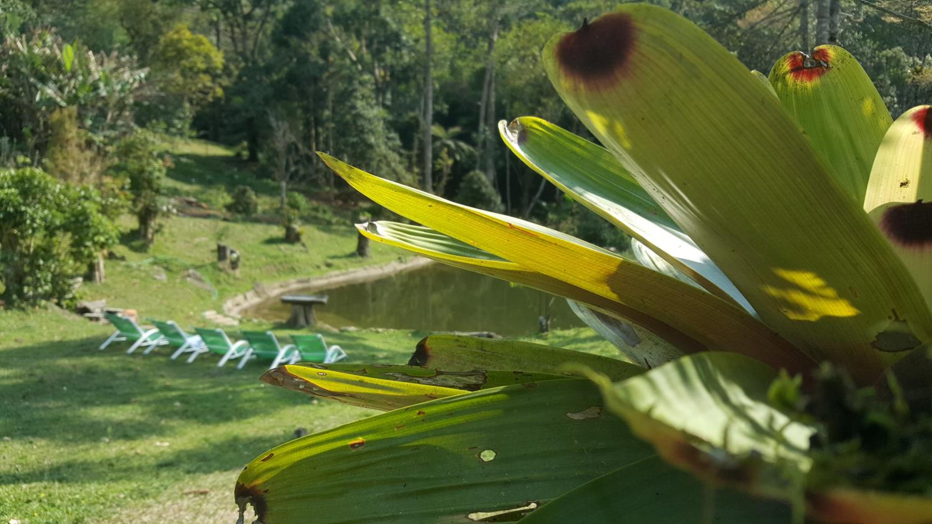 Cabanas da Fazenda