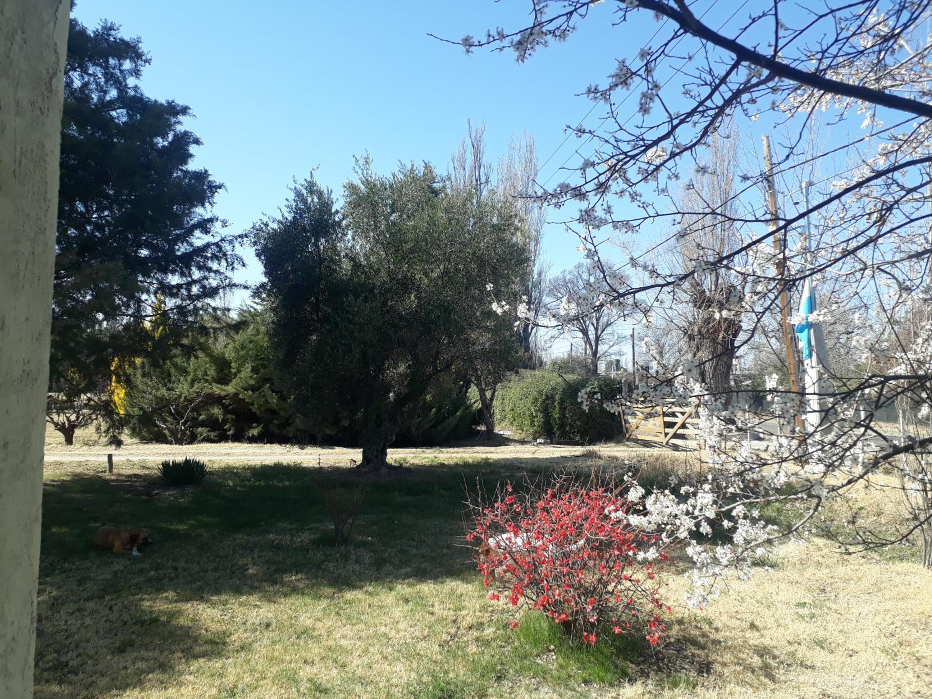 Casa de campo Las olivas