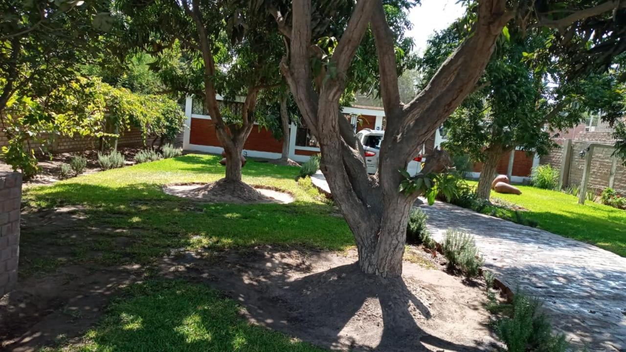 Photo 6