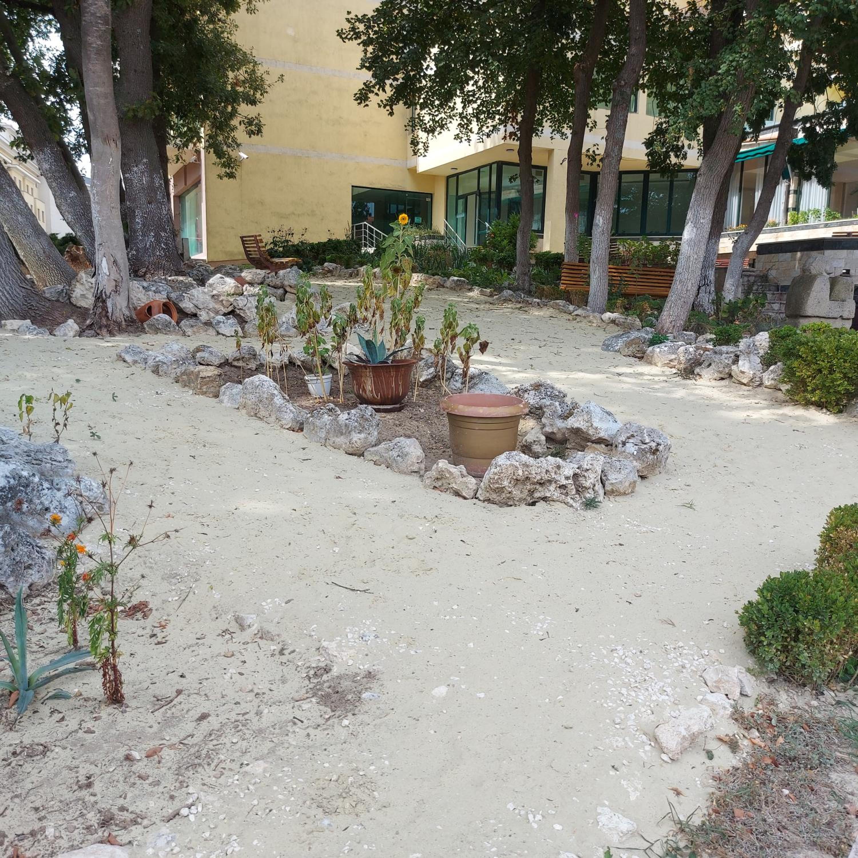 Photo 21