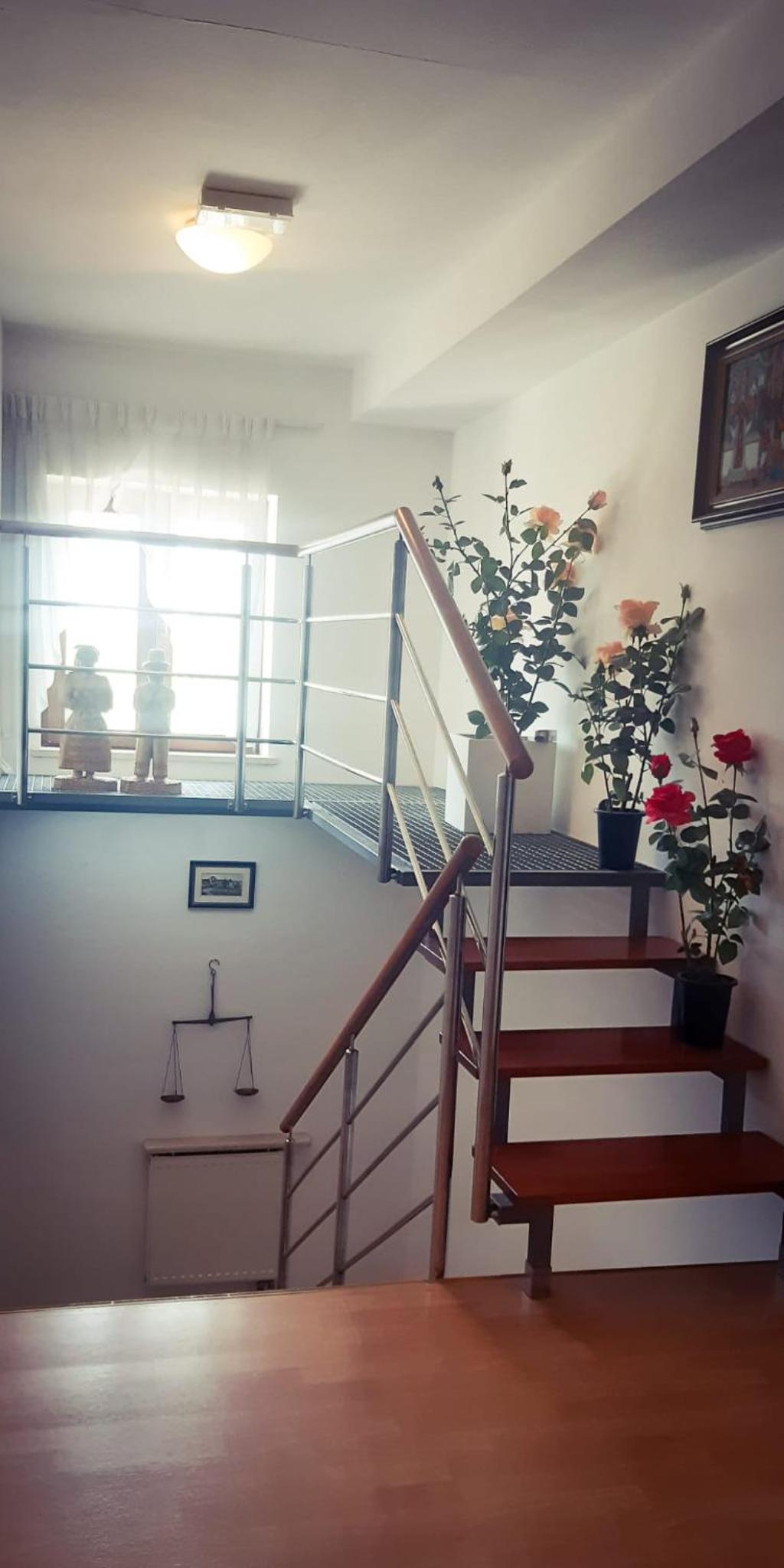 Pansion Danica view 2