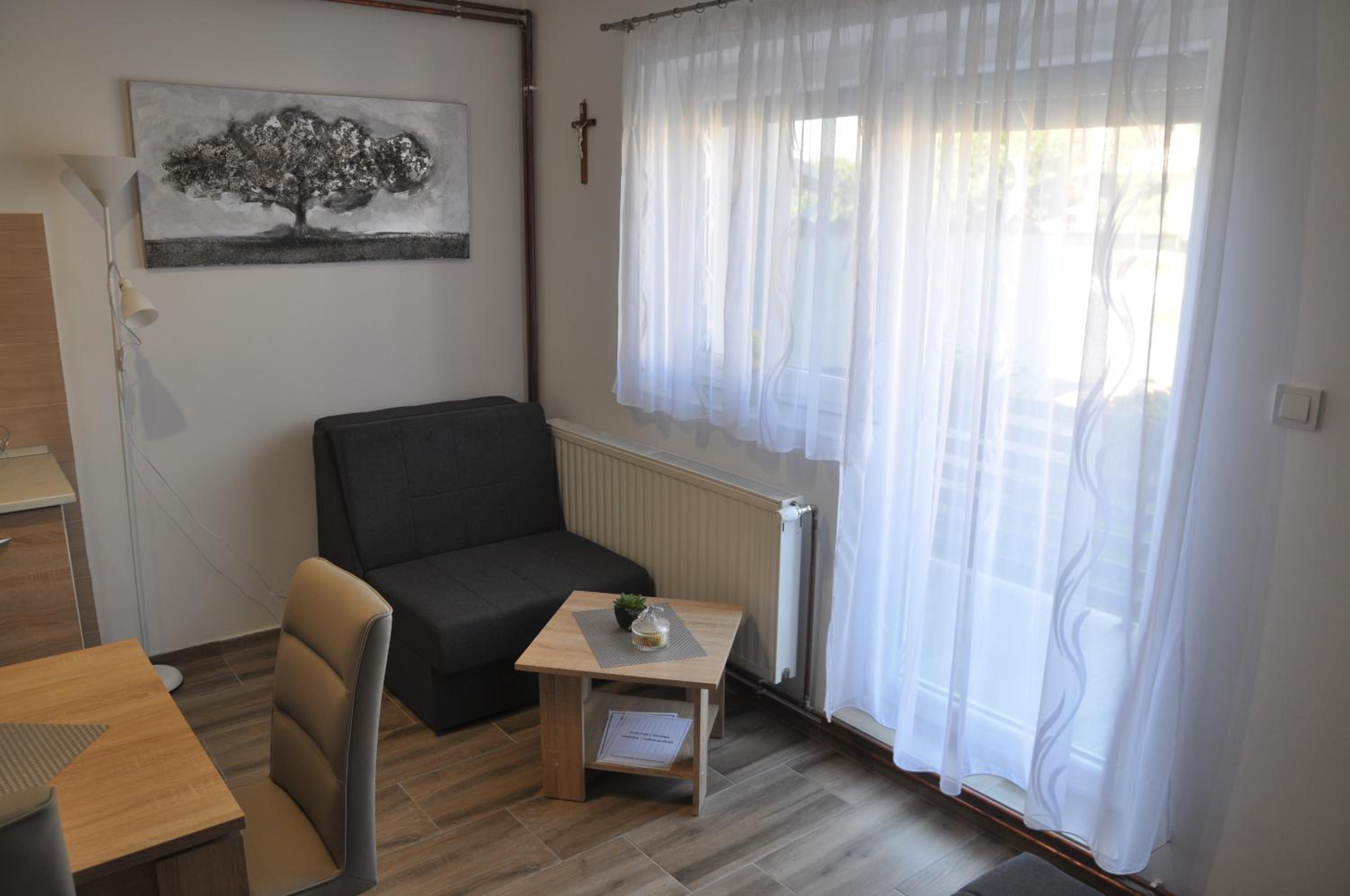 Apartmani Ana Vukovar view 4