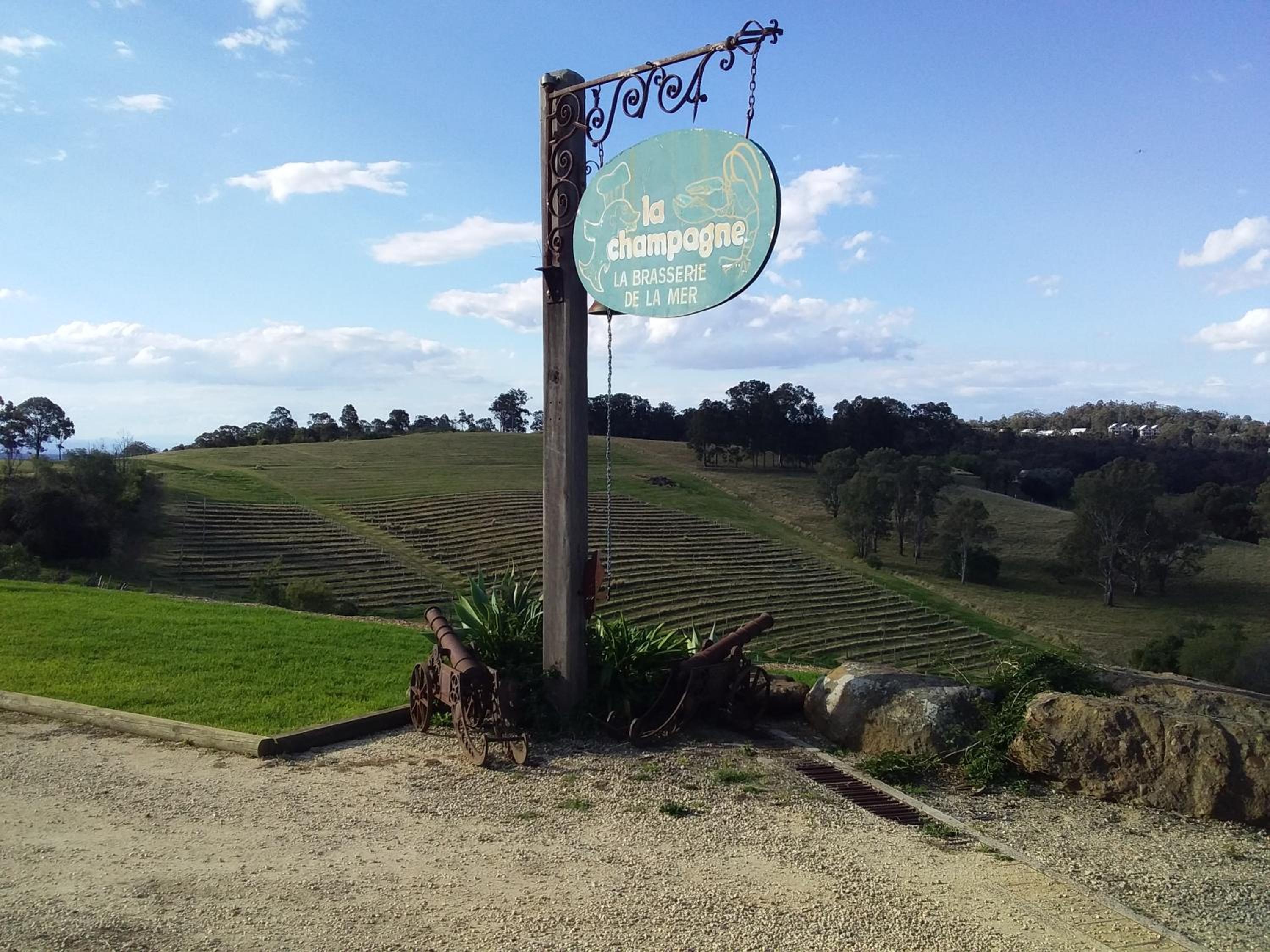 Mistress Block Vineyard