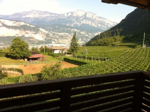 Agritur al Vigneto view 4