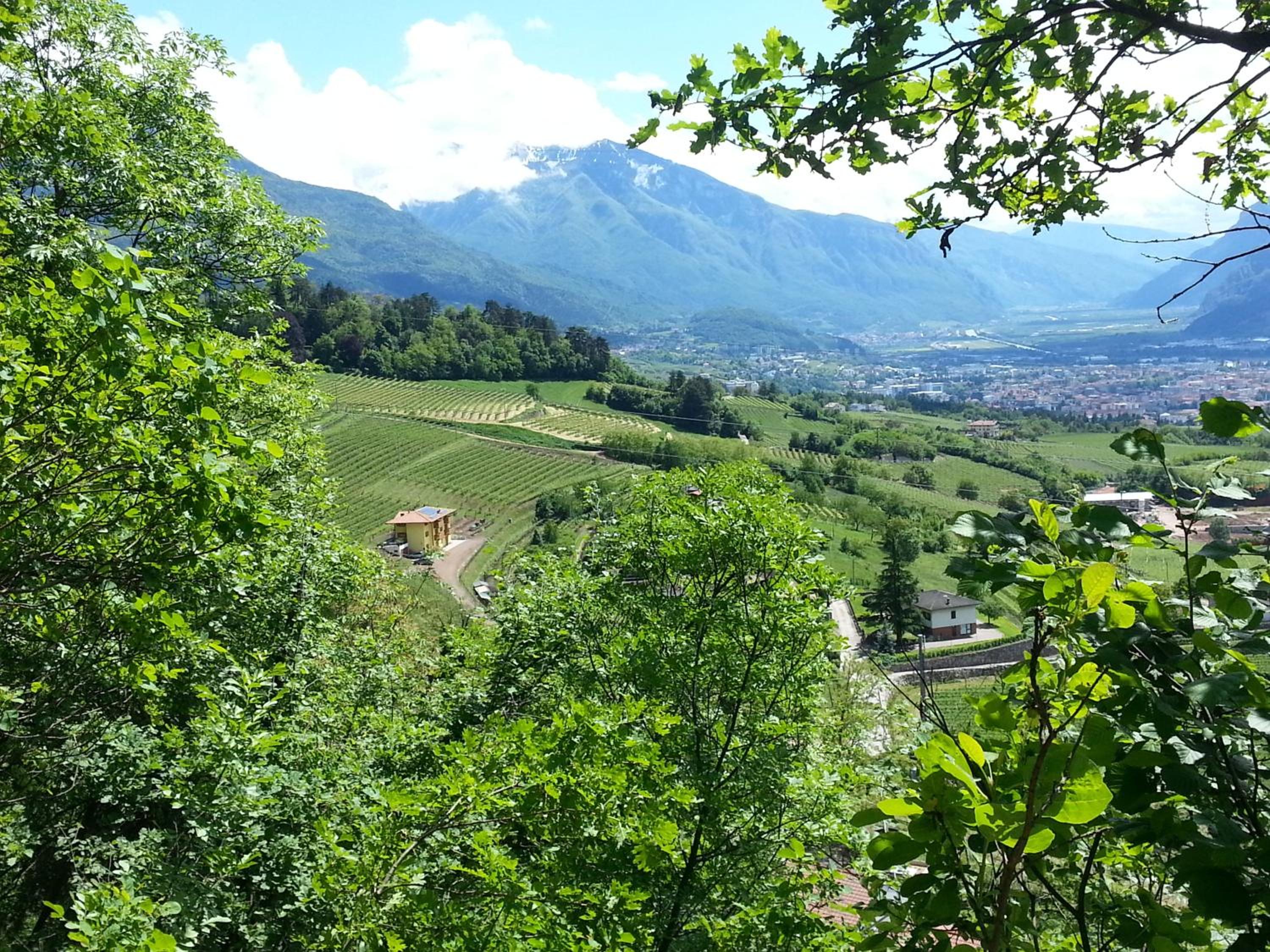 Agritur al Vigneto view 5