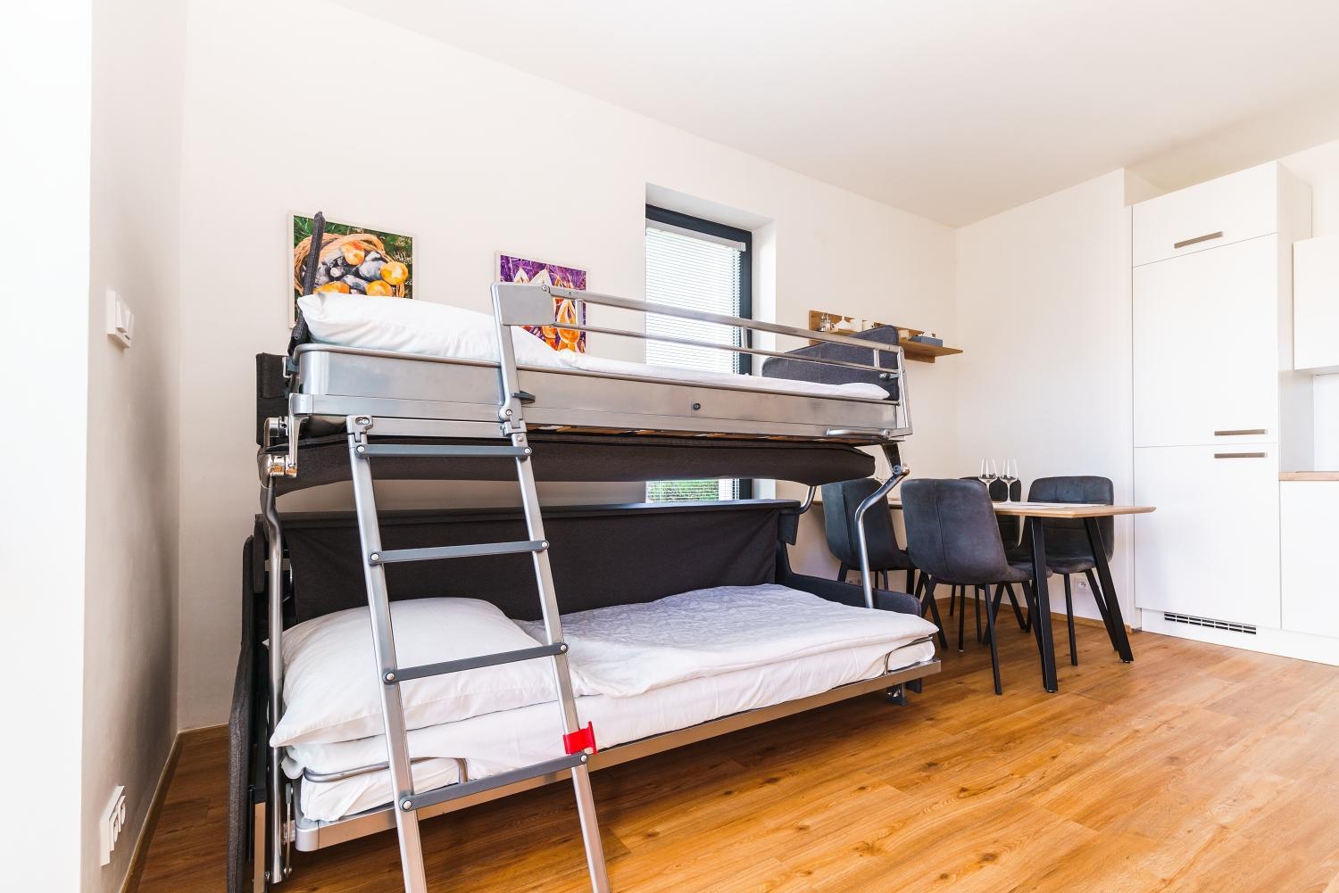 Horský apartmán Temari 6 Klínovec view 4