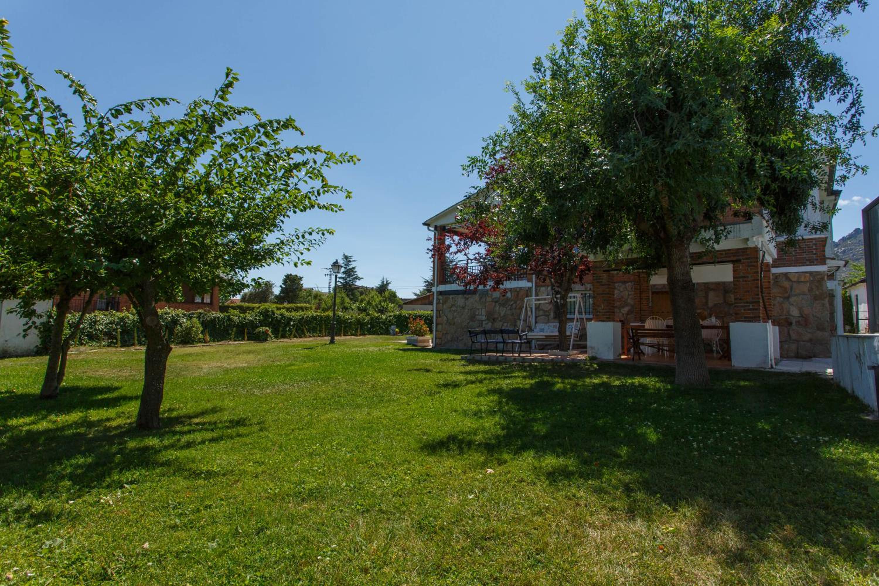Photo 21