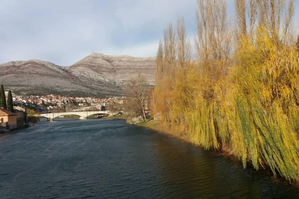 The apartment Honey Centre of Trebinje Town