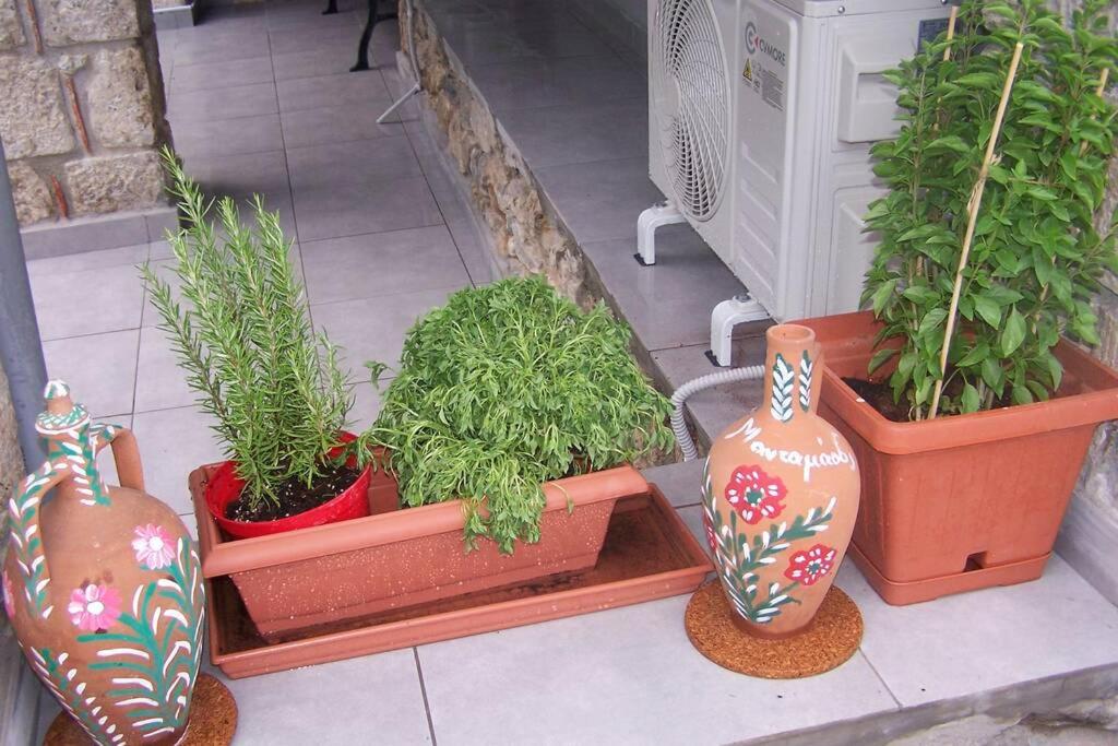 Photo 44