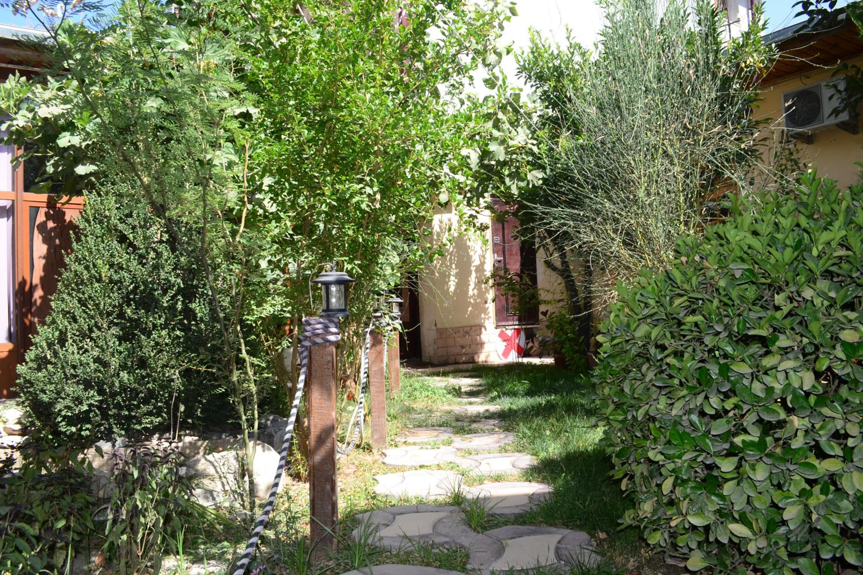 Photo 27