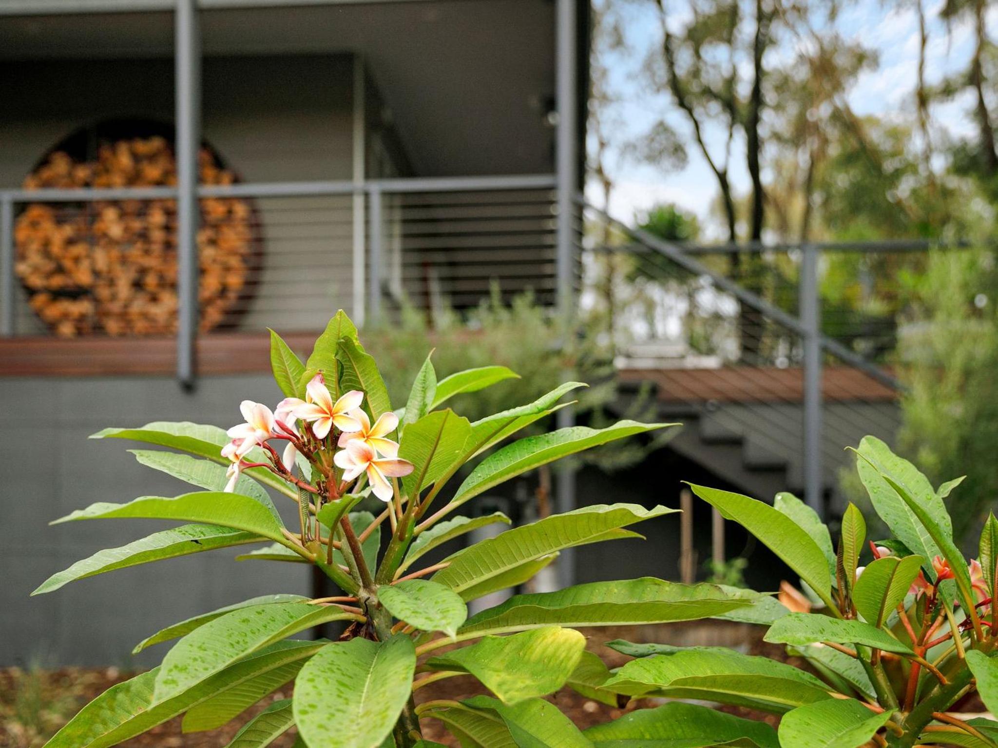 Fig Tree Luxury Guest House