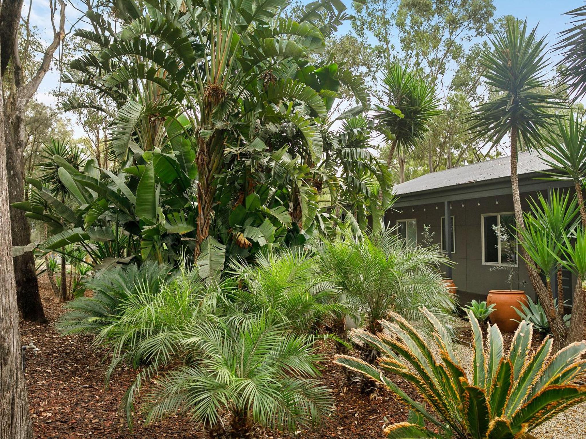 Fig Tree Luxury Guest House