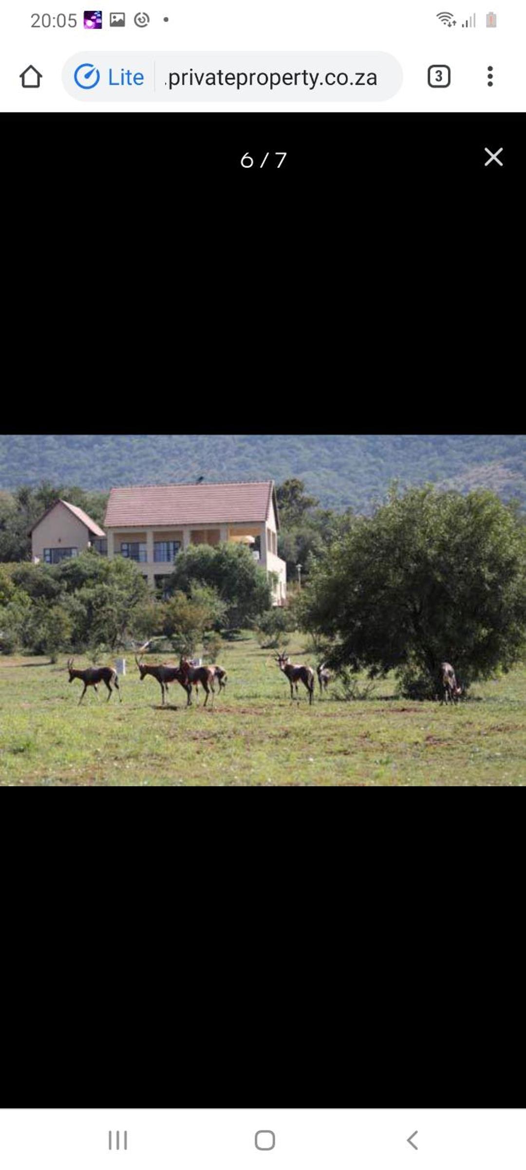 740 Leloko