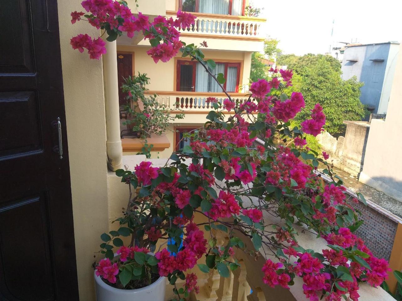 Lys Homestay