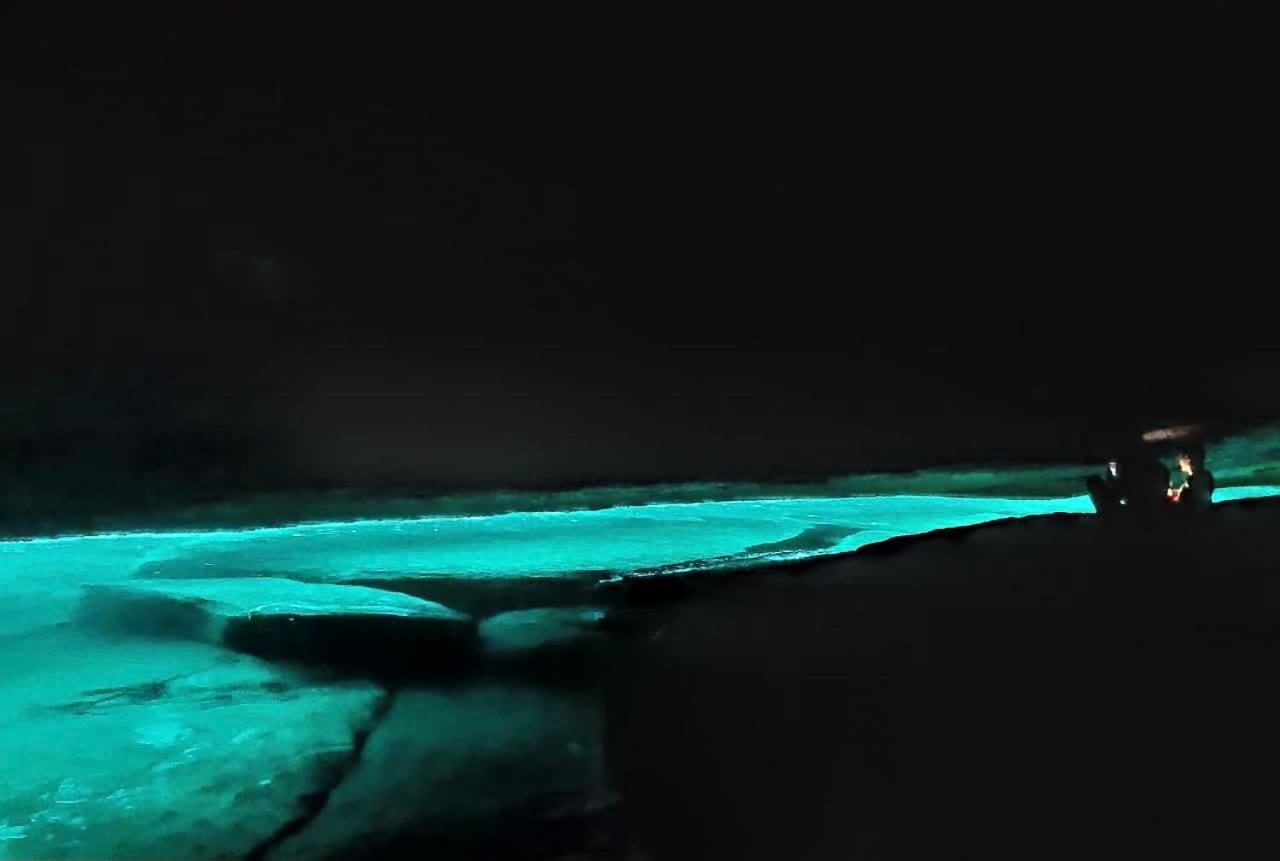 Saracura