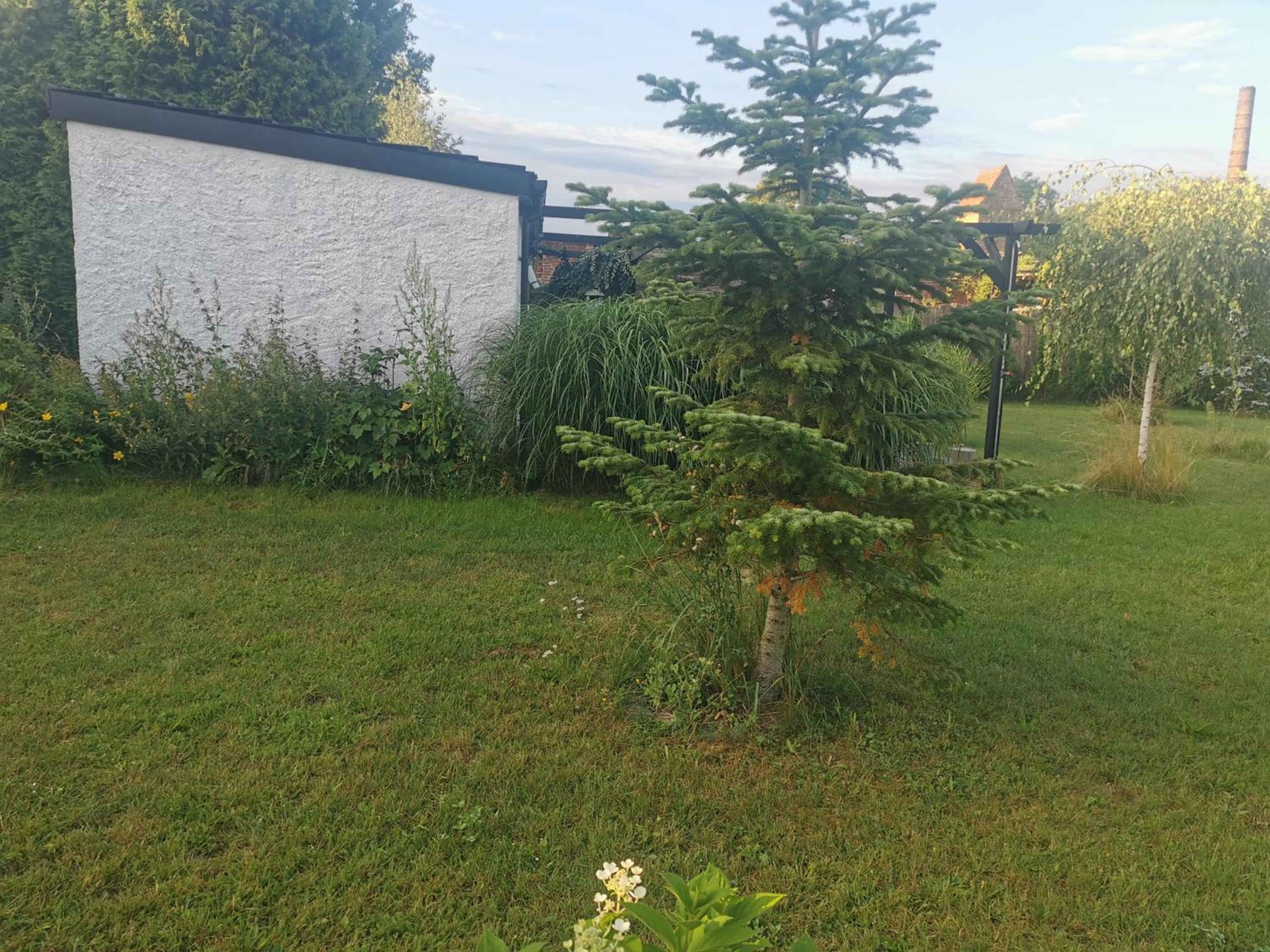 Ferienhaus mit Kamin