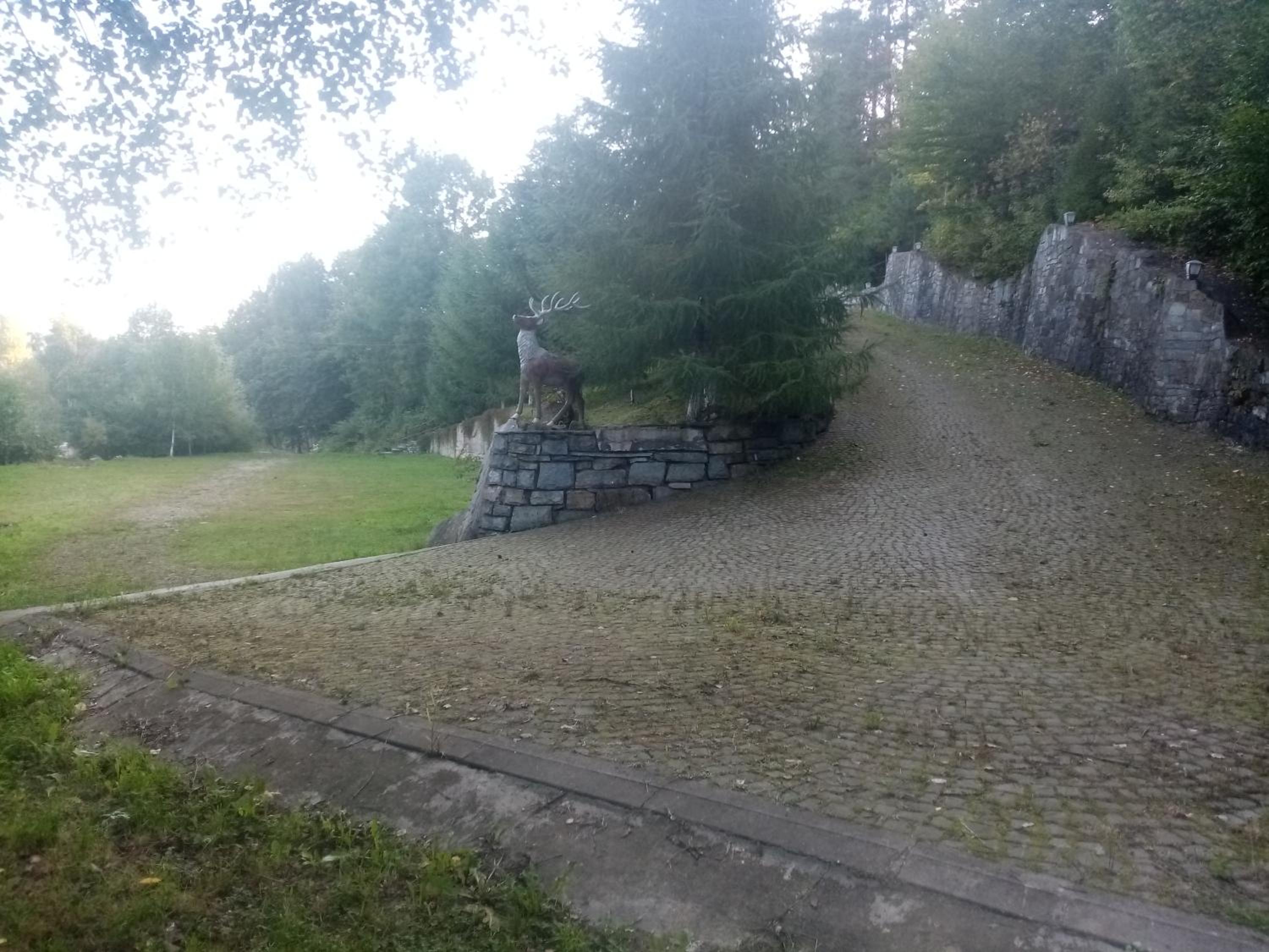 Photo 43