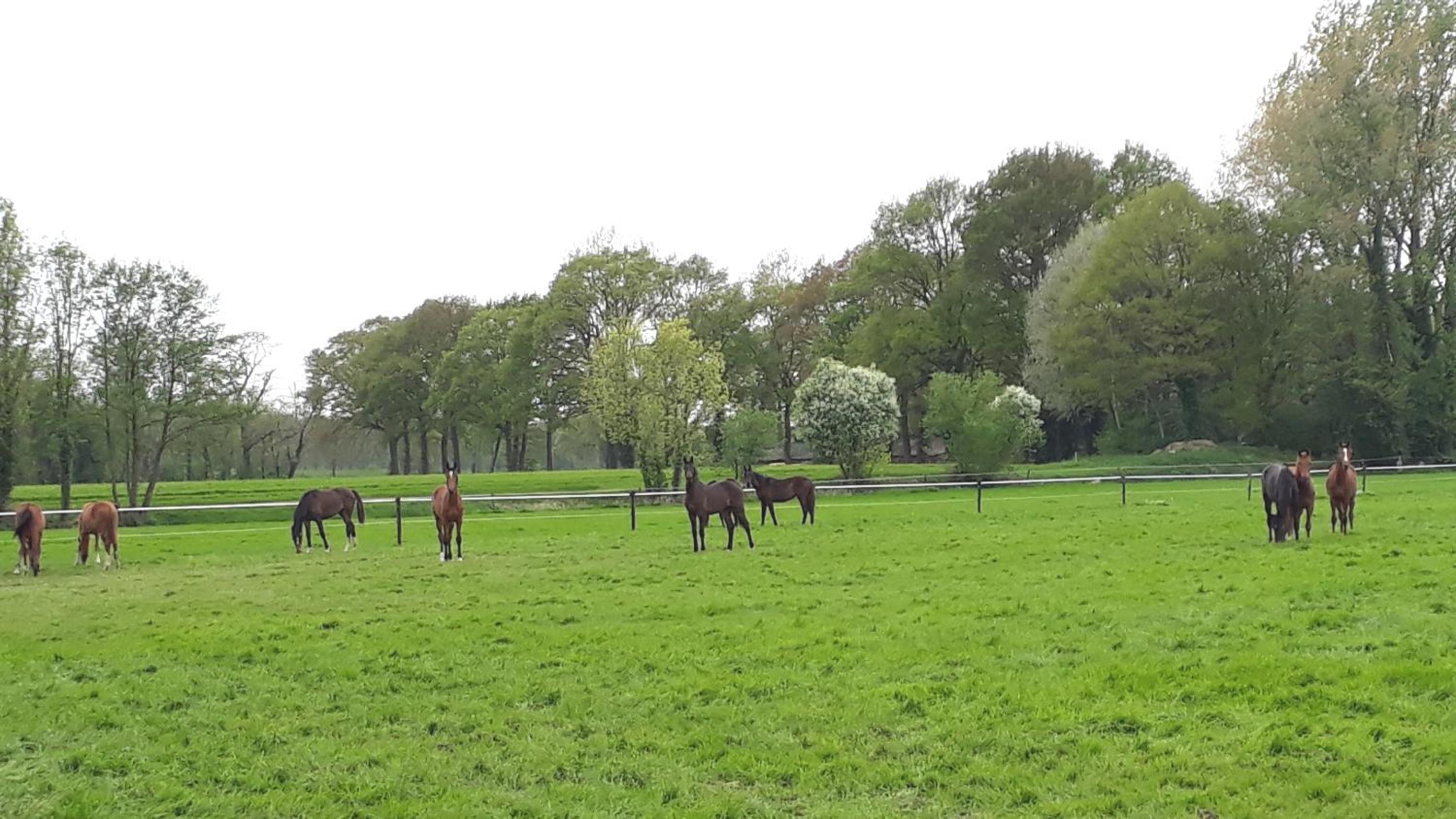 Vakantiewoning 't Haller Vorden view 4