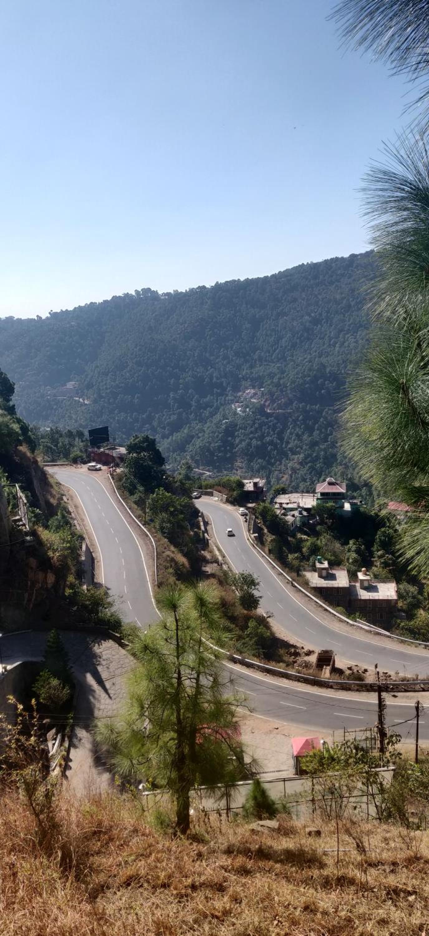 2BHK Furnished Apartment/Near Kasauli/Barog/Luv Fun & Adventure view 2