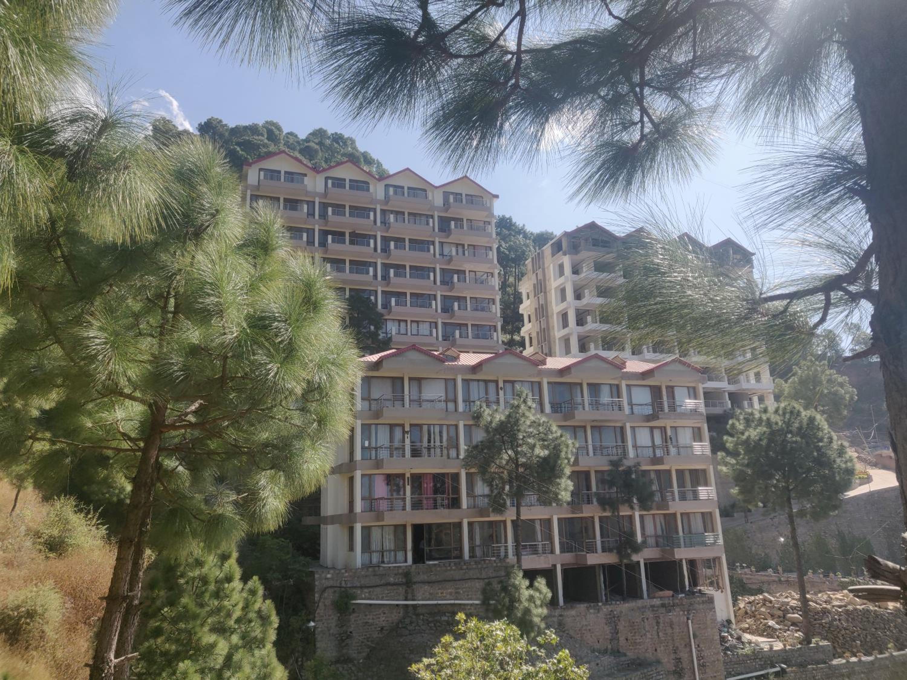 2BHK Furnished Apartment/Near Kasauli/Barog/Luv Fun & Adventure view 3