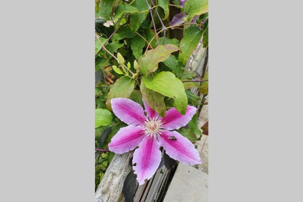 Photo 27