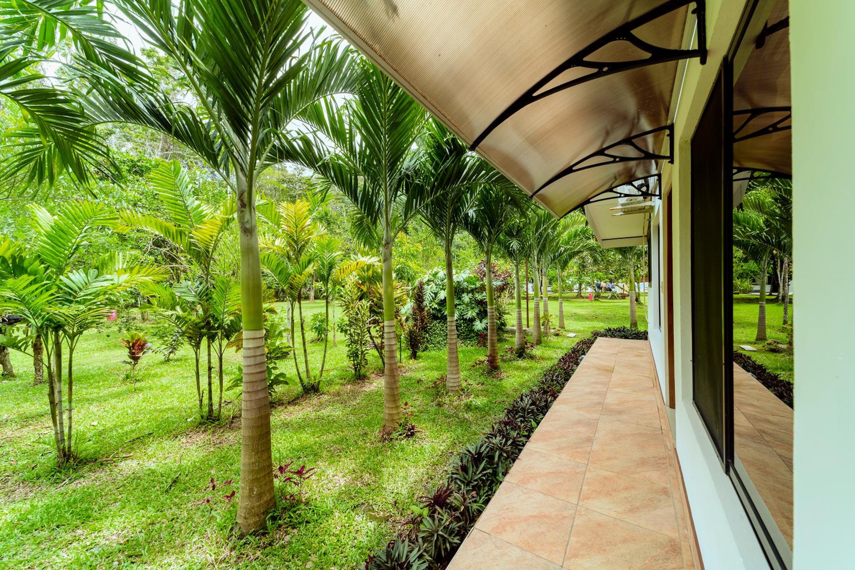 Casa Blossom - Beach Paradise Retreat, Fully Equipped, Holiday Home view 3