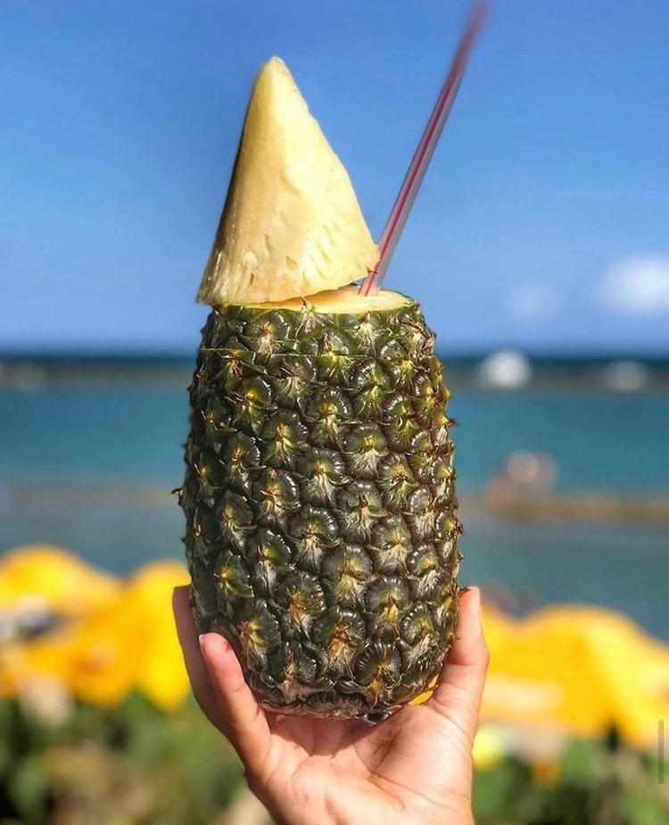 Iloa um paraíso esperando por você