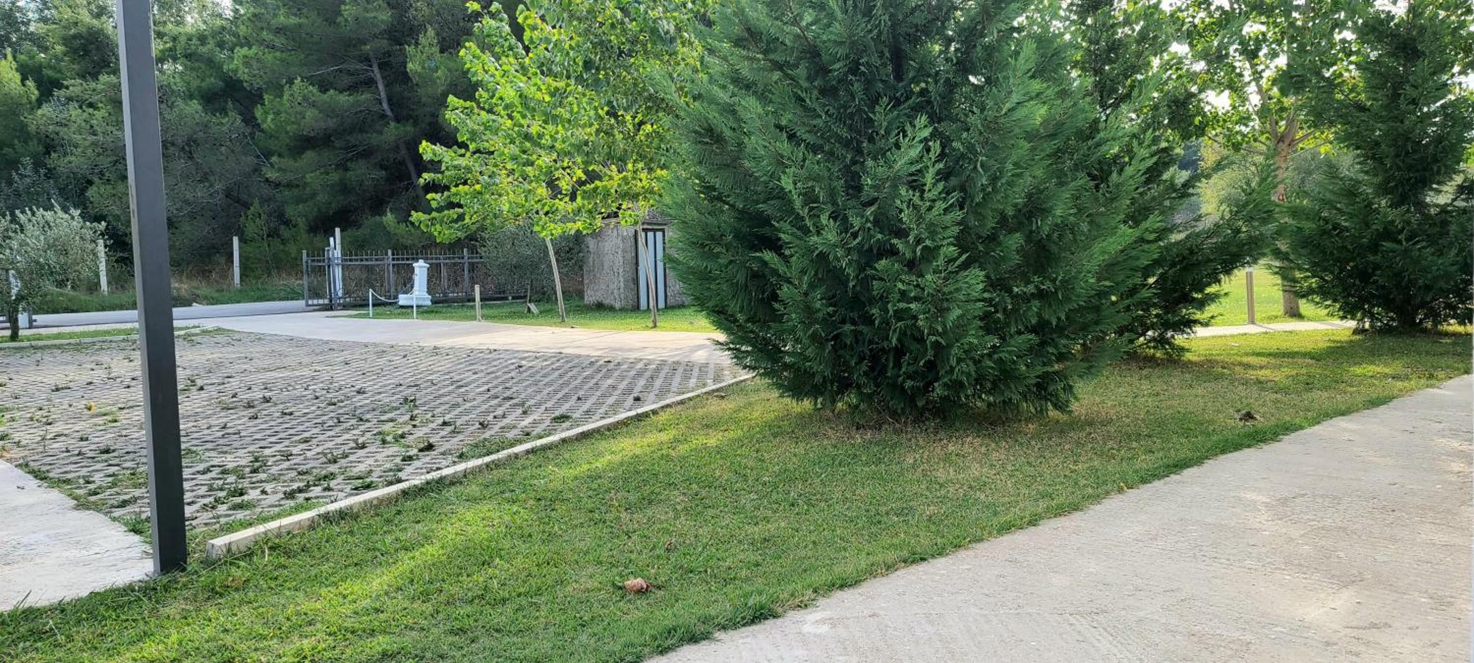 Photo 44