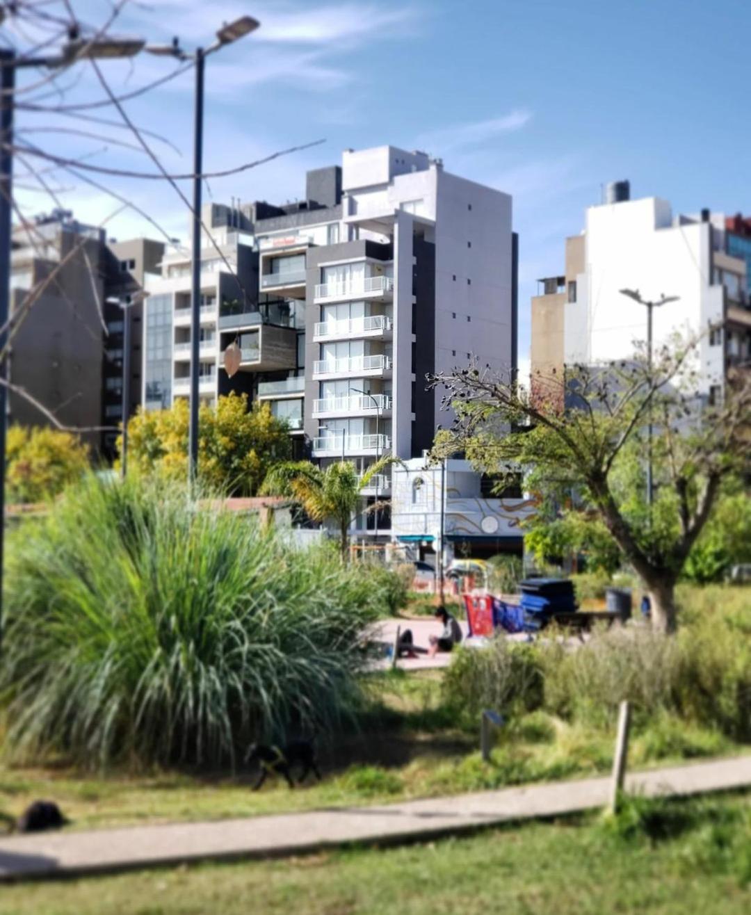 Dorrego Torre