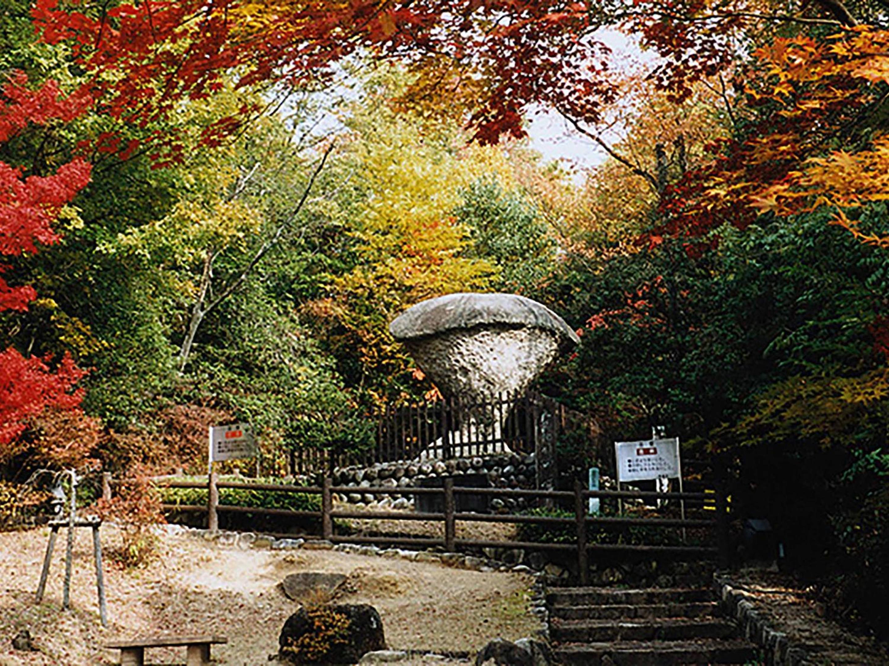 Ooedo Onsen Monogatari Premium Enakyo